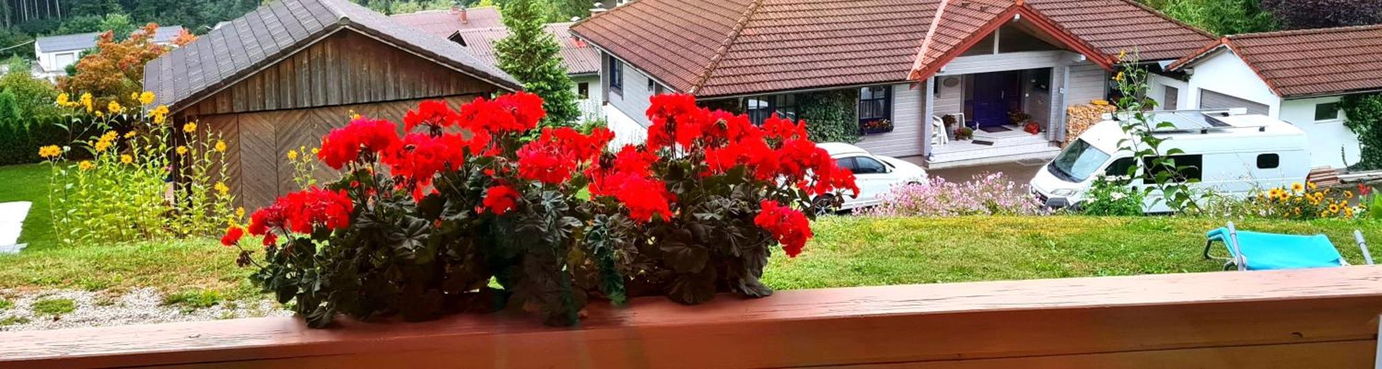 Haus Loeger Apartments Pyhrn Priel Windischgarsten Εξωτερικό φωτογραφία